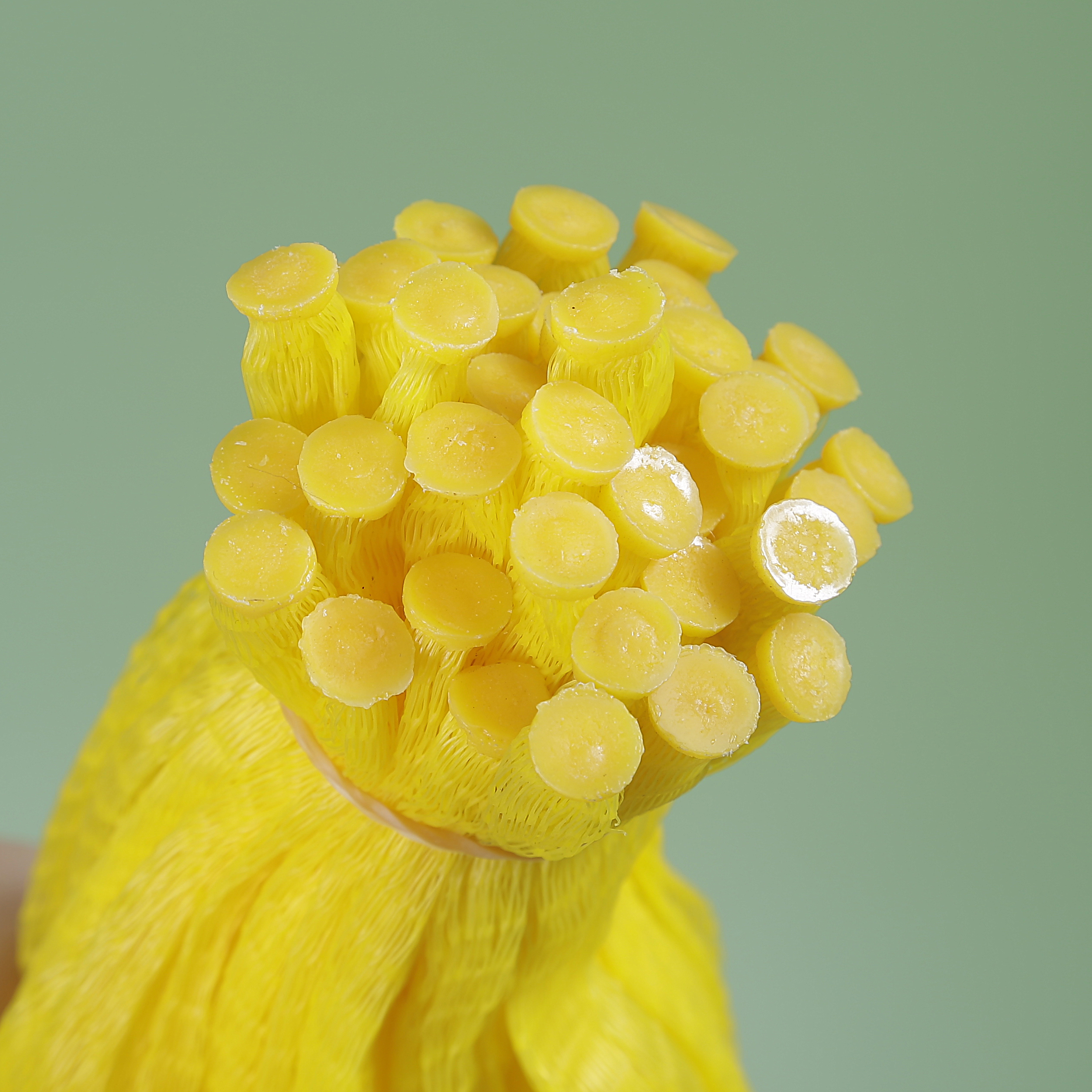 Geëxtrudeerde mesh plastic netzakken in rolverpakkingen Knoflook Ui Fruit Eieren Buisvormige Mesh Sleeve Bags